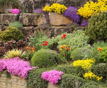 flowers-for-rock-gardens-ideas-30_12 Цветя за алпинеуми идеи
