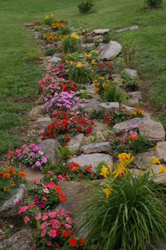 flowers-for-rock-gardens-ideas-30_5 Цветя за алпинеуми идеи