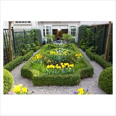 formal-english-garden-plants-87_13 Официални английски градински растения