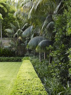 formal-tropical-garden-design-84_5 Официален дизайн на тропическа градина