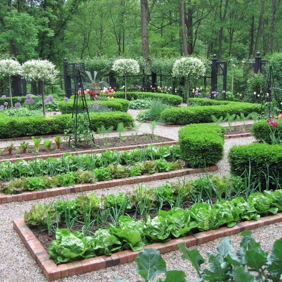 formal-vegetable-garden-design-92_4 Официален дизайн на зеленчукова градина