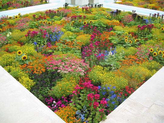 frangipani-garden-design-ideas-46_15 Франджипани градински дизайн идеи