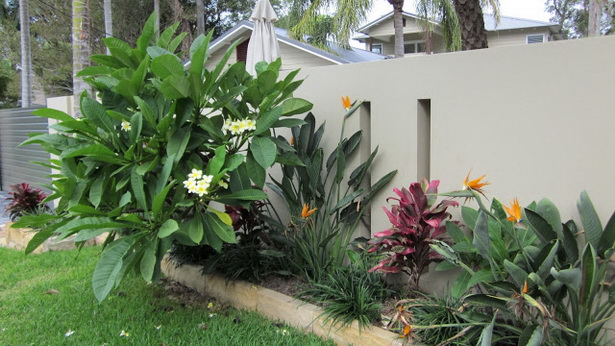 frangipani-garden-design-ideas-46_18 Франджипани градински дизайн идеи