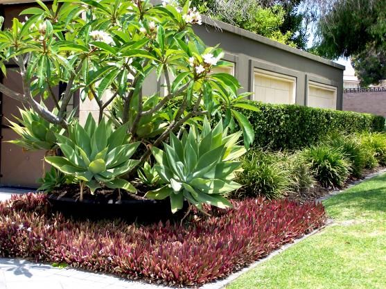 frangipani-garden-design-ideas-46_2 Франджипани градински дизайн идеи