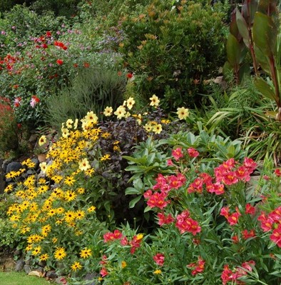 frangipani-garden-design-ideas-46_5 Франджипани градински дизайн идеи