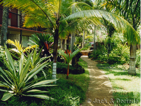frangipani-garden-design-ideas-46_9 Франджипани градински дизайн идеи