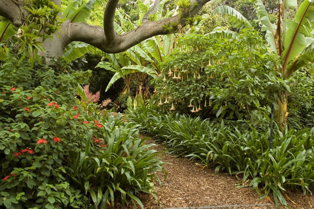 frangipani-garden-design-09_6 Франджипани градина дизайн