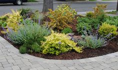 front-garden-ideas-low-maintenance-53_15 Идеи за предната градина ниска поддръжка