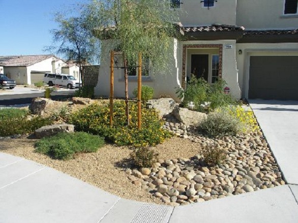 front-yard-desert-landscaping-ideas-10 Преден двор пустинни идеи за озеленяване