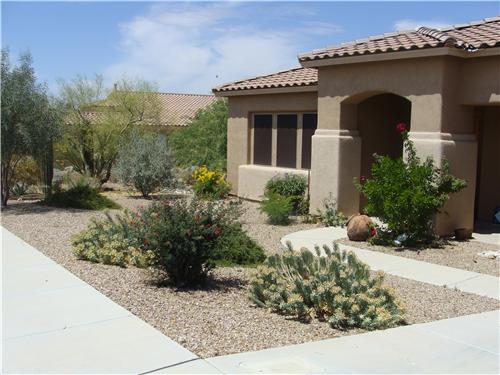 front-yard-desert-landscaping-ideas-10_5 Преден двор пустинни идеи за озеленяване