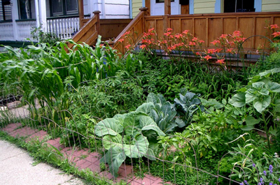front-yard-garden-42_16 Преден двор градина