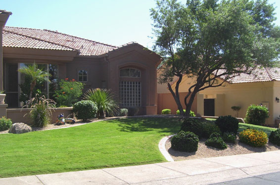 front-yard-landscaping-ideas-arizona-51_4 Фронт двор озеленяване идеи Аризона