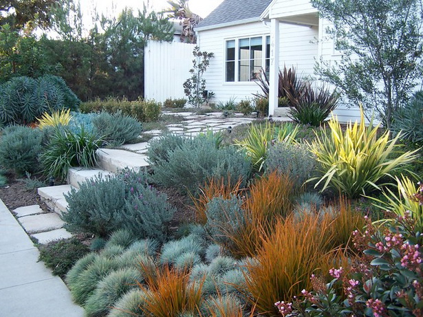 front-yard-landscaping-ideas-california-92_17 Фронт двор озеленяване идеи Калифорния