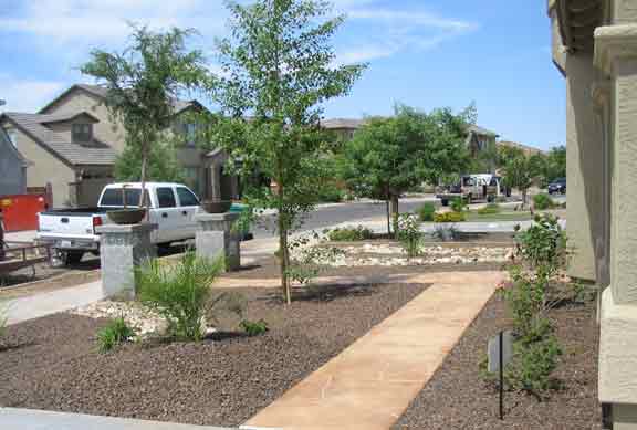 front-yard-landscaping-ideas-in-arizona-76_9 Идеи за озеленяване на предния двор в Аризона