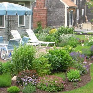 front-yard-landscaping-ideas-on-a-budget-95_15 Идеи за озеленяване на предния двор на бюджет