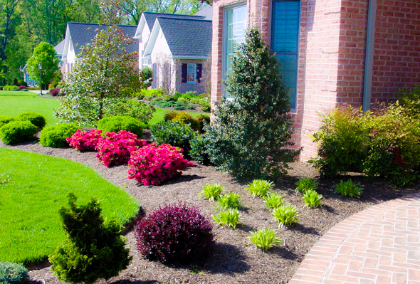 front-yard-landscaping-ideas-with-mulch-73 Идеи за озеленяване на предния двор с мулч