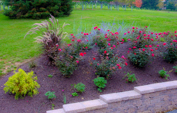 front-yard-landscaping-ideas-with-mulch-73_6 Идеи за озеленяване на предния двор с мулч