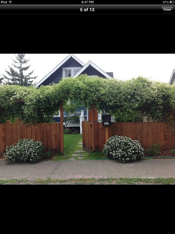 front-yard-privacy-landscaping-ideas-60_20 Идеи за озеленяване на предния двор