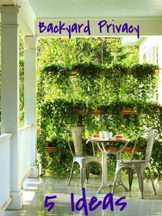 front-yard-privacy-landscaping-ideas-60_7 Идеи за озеленяване на предния двор