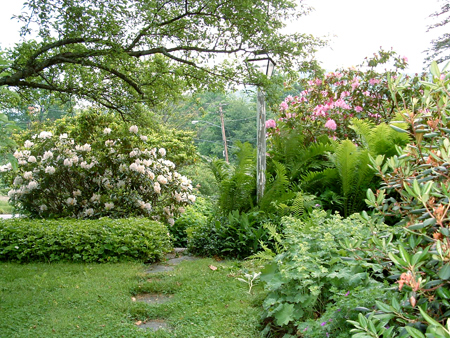 front-yard-privacy-landscaping-73_18 Преден двор уединение озеленяване