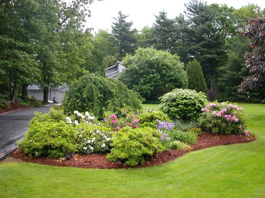 front-yard-shrubs-design-55_11 Преден двор храсти дизайн