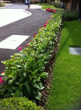 front-yard-shrubs-ideas-34_2 Преден двор храсти идеи
