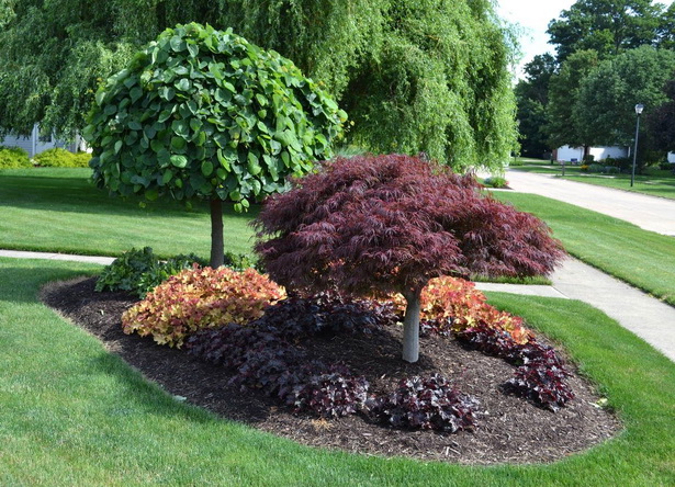 front-yard-tree-ideas-18_10 Идеи за дърво на предния двор