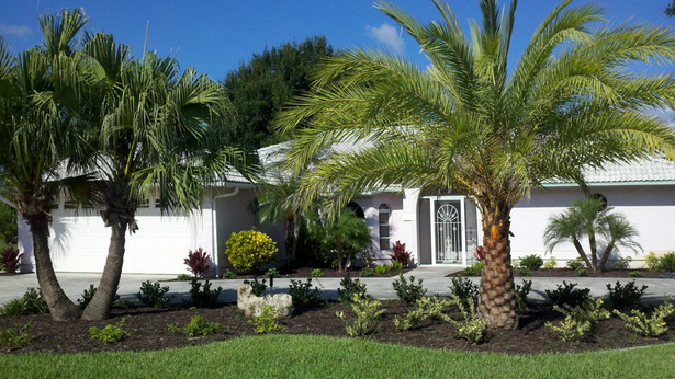 front-yard-tree-landscaping-ideas-26_13 Идеи за озеленяване на предния двор