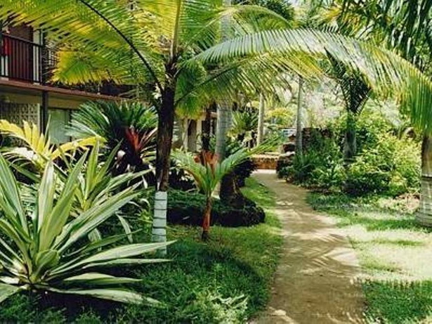 front-yard-tropical-landscaping-ideas-03_17 Преден двор тропически идеи за озеленяване