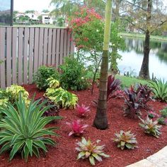 front-yard-tropical-landscaping-ideas-03_19 Преден двор тропически идеи за озеленяване