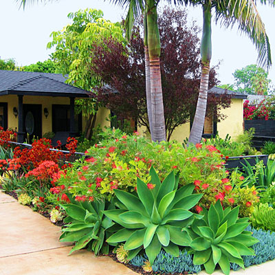 front-yard-tropical-landscaping-ideas-03_4 Преден двор тропически идеи за озеленяване