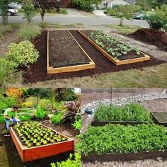 garden-and-yard-ideas-19_11 Идеи за градина и двор