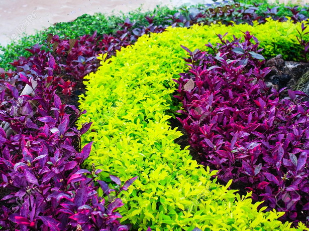 garden-arrangement-of-plants-91_19 Градински подреждане на растения