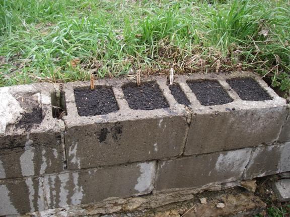 garden-blocks-for-retaining-wall-81_17 Градински блокове за подпорна стена