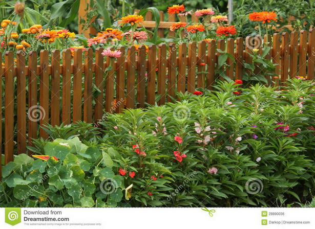 garden-border-flowers-67_10 Градински бордюр цветя