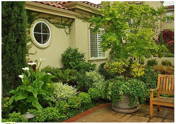 garden-design-and-landscaping-42 Градински дизайн и озеленяване