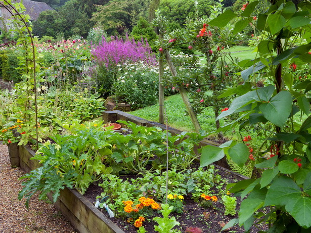 garden-design-ideas-pictures-32 Идеи за градински дизайн снимки