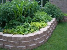 garden-edging-design-ideas-20_15 Идеи за дизайн на градински кант