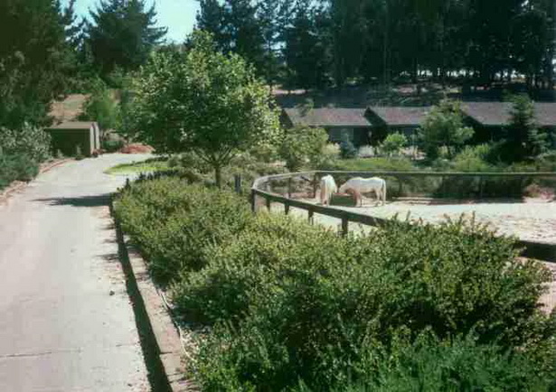 Примери за градина