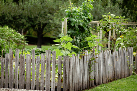 garden-fencing-ideas-56 Идеи за градинска ограда