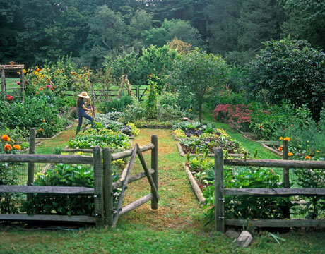 garden-fencing-ideas-56_11 Идеи за градинска ограда