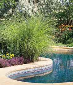 garden-ideas-around-swimming-pools-66_17 Идеи за градината около плувните басейни