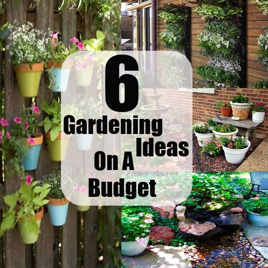 garden-ideas-on-a-budget-37_3 Градински идеи за бюджет
