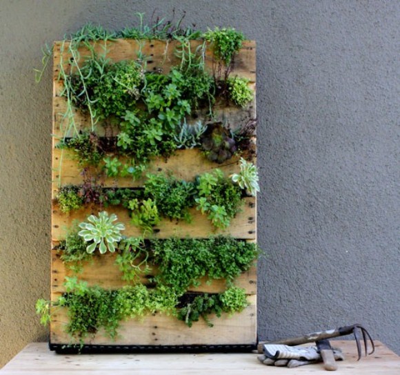 Идеи за градина малки пространства