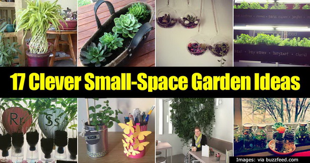 garden-ideas-small-spaces-81_9 Идеи за градина малки пространства
