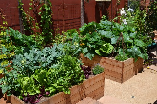 garden-ideas-vegetable-84_7 Градински идеи зеленчукови