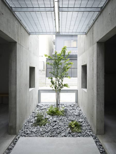garden-in-house-interior-design-60_11 Градина в къща интериорен дизайн