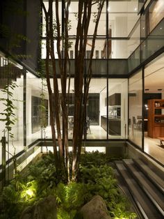 garden-in-house-interior-design-60_7 Градина в къща интериорен дизайн