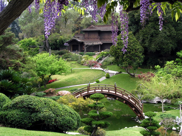 Градина на японски