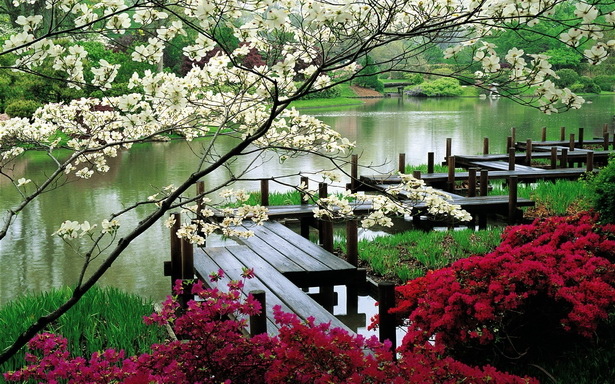 garden-japanese-86_4 Градина японски